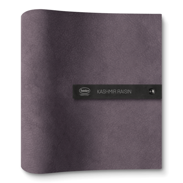 Kashmir Raisin