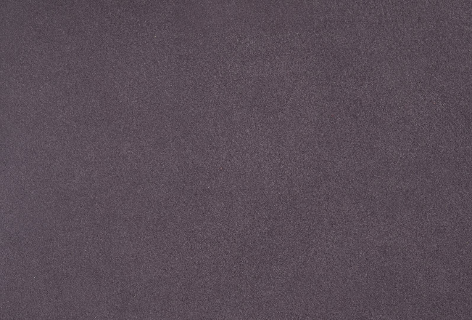 Kashmir Raisin | Baxter